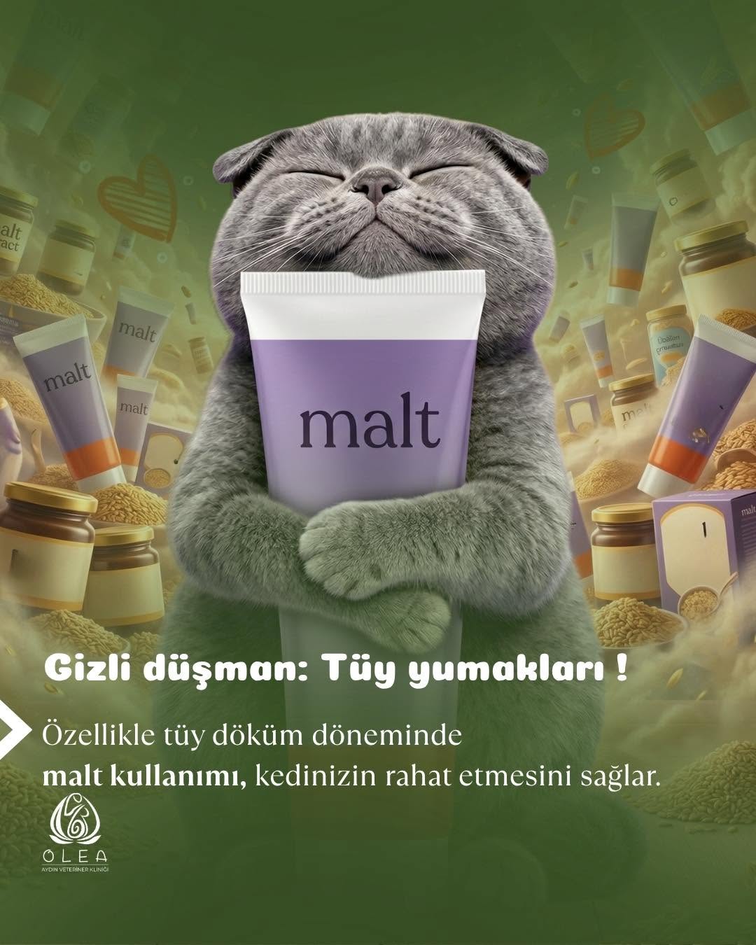 Malt kullanımı