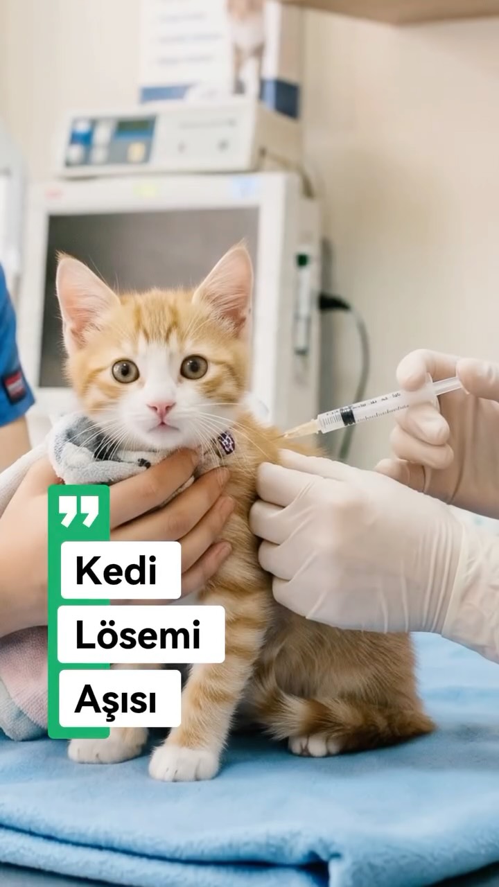 Aşı ve koruyucu hekimlik