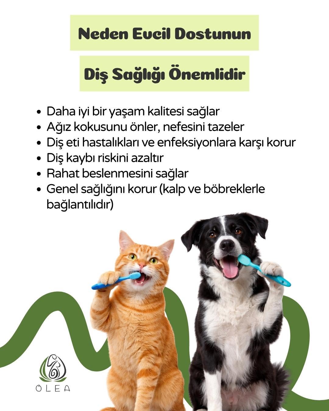 Diş sağlığı ve cerrahi